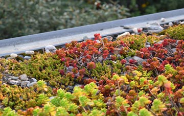 the cost of East Hendred green roof installation