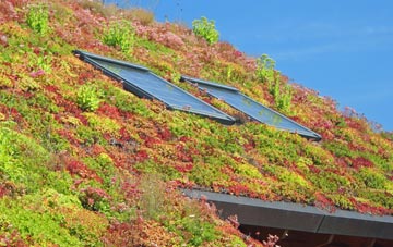 East Hendred living roof systems